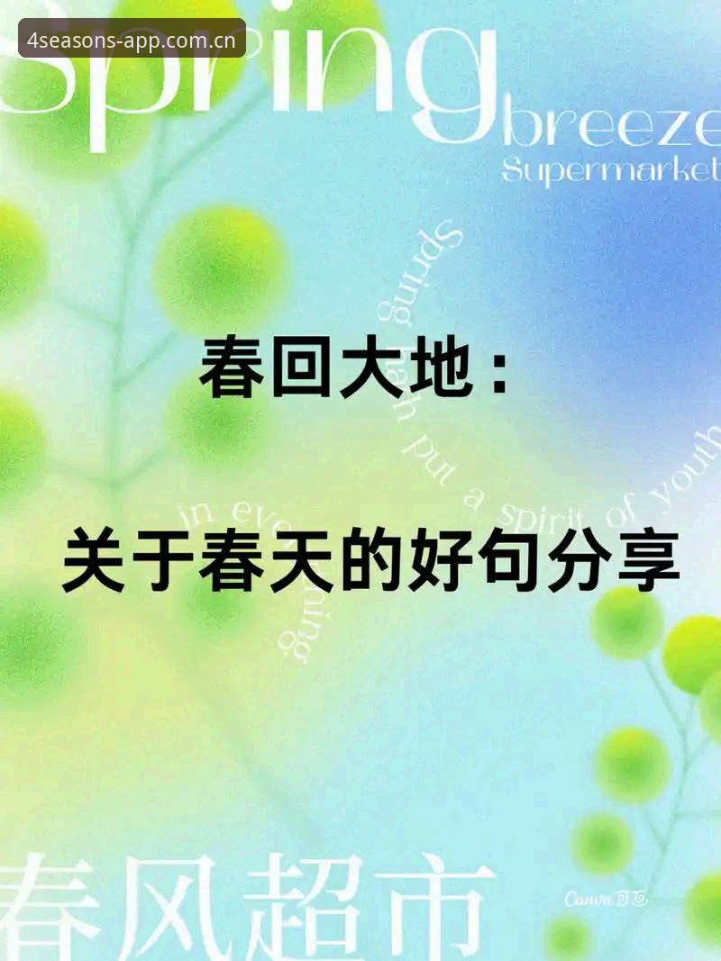 四季平台入口的4个关键选择标准：从下载到支付的全流程解析